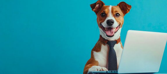 pet friendly coworking